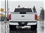 2023 Ford F150 Regular Cab XLT Pickup 2D 6 1/2 ft Thumbnail 8