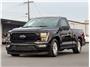 2023 Ford F150 Regular Cab XL Pickup 2D 6 1/2 ft Thumbnail 3