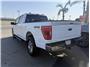 2023 Ford F150 SuperCrew Cab XLT Pickup 4D 6 1/2 ft Thumbnail 8