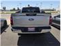 2024 Ford F150 SuperCrew Cab XLT Pickup 4D 5 1/2 ft Thumbnail 6