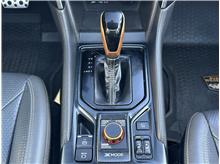 Vehicle Thumb #28