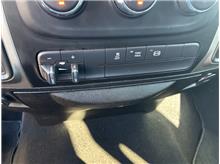 Vehicle Thumb #38