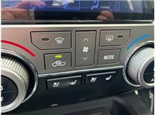 Vehicle Thumb #43
