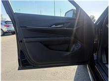 Vehicle Thumb #11