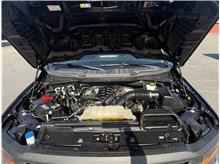 Vehicle Thumb #19