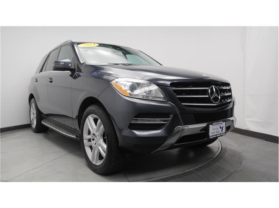 2014 Mercedes-Benz M-Class from Payless Auto Sales