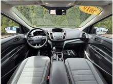 Vehicle Thumb #16