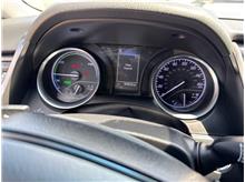 Vehicle Thumb #19