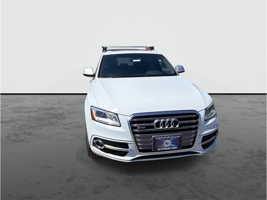 2016 Audi SQ5 photo 3