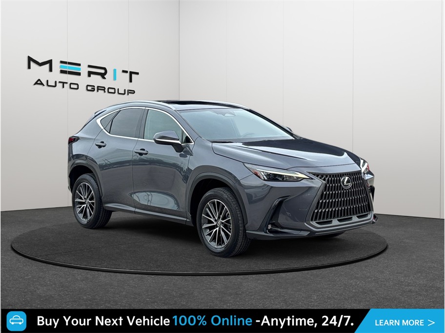 Gray 2024 Lexus NX Hybrid SUV / Crossover All-Wheel Drive Continuously Variable Transmission