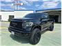 2021 Toyota Tundra Double Cab TRD Off-Road Thumbnail 2