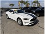 2021 Ford Mustang EcoBoost Coupe 2D Thumbnail 1