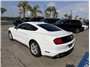 2021 Ford Mustang EcoBoost Coupe 2D Thumbnail 10