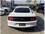 2021 Ford Mustang EcoBoost Coupe 2D Thumbnail 11