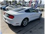 2021 Ford Mustang EcoBoost Coupe 2D Thumbnail 12