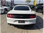2021 Ford Mustang EcoBoost Coupe 2D Thumbnail 5