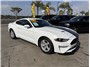 2021 Ford Mustang EcoBoost Coupe 2D Thumbnail 7
