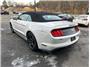 2021 Ford Mustang EcoBoost Premium Convertible 2D Thumbnail 8