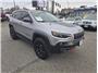 2019 Jeep Cherokee TrailHawk Elite Sport Utility 4D Thumbnail 2