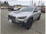 2019 Jeep Cherokee TrailHawk Elite Sport Utility 4D Thumbnail 4