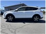 2017 Toyota RAV4 XLE Sport Utility 4D Thumbnail 2