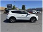 2017 Toyota RAV4 XLE Sport Utility 4D Thumbnail 6