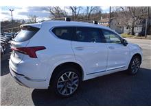 2023 Hyundai Santa Fe Calligraphy Sport Utility 4D Thumbnail 6