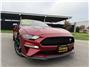 2020 Ford Mustang EcoBoost Premium Coupe 2D Thumbnail 2