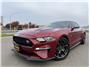 2020 Ford Mustang EcoBoost Premium Coupe 2D Thumbnail 8