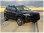 2020 Jeep Cherokee TrailHawk Thumbnail 1