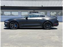 2023 Ford Mustang GT Premium Coupe 2D Thumbnail 2