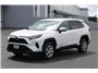 2022 Toyota RAV4 LE Sport Utility 4D Thumbnail 1
