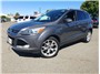 2014 Ford Escape Titanium Sport Utility 4D Thumbnail 1