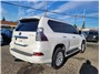 2023 Lexus GX GX 460 Luxury Sport Utility 4D Thumbnail 8