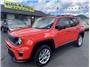 2019 Jeep Renegade Low Miles! Great CarFax History! fun to drive! 4x4 Thumbnail 1