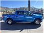 2019 Ford F150 SuperCrew Cab 4x4! Low Miles! Solid Truck! Clean CarFax History! Thumbnail 8