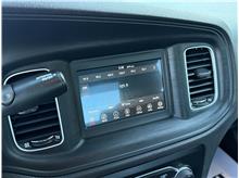 Vehicle Thumb #11