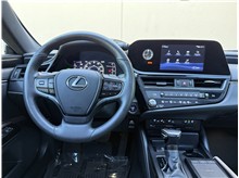 Vehicle Thumb #11
