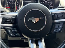 Vehicle Thumb #31