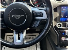 Vehicle Thumb #32