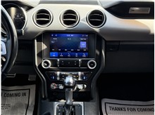 Vehicle Thumb #35