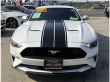 Vehicle Thumb #2