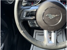 Vehicle Thumb #28