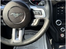 Vehicle Thumb #30