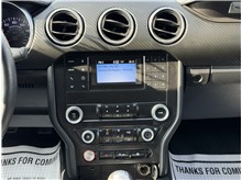 Vehicle Thumb #32