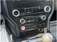 Vehicle Thumb #33