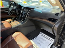 Vehicle Thumb #43