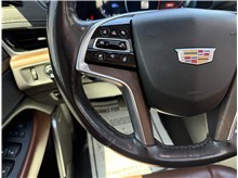 Vehicle Thumb #47