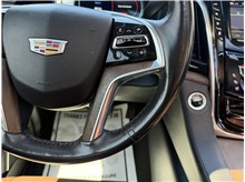 Vehicle Thumb #49