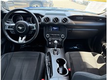 Vehicle Thumb #27